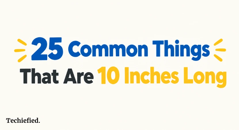 25 Common Things That Are 10 Inches Long